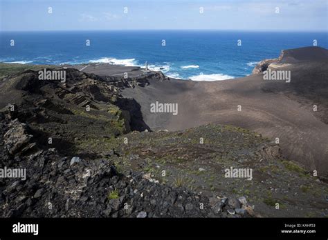 Desert Ash Hi Res Stock Photography And Images Alamy