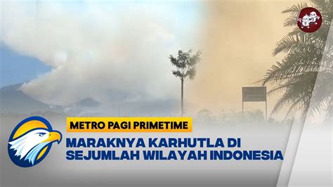 Warga Panik Kebakaran Hutan Di Ngawi Dan Palangkaraya Dekati