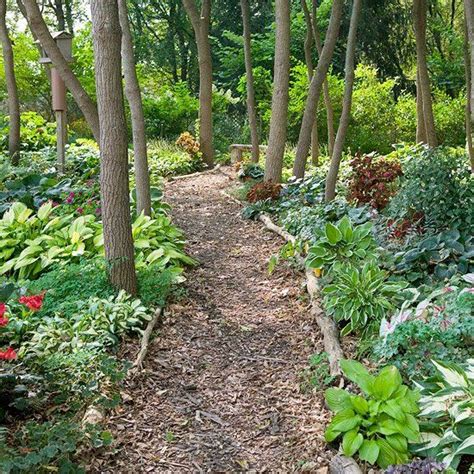 Shade Garden Ideas Shade Garden Beautiful Gardens Woodland Garden