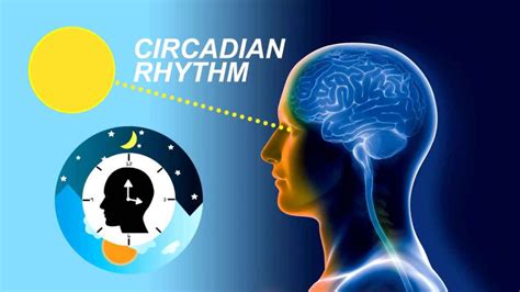 Blue Light And Its Adverse Effects How Does It Affect Our Eyes