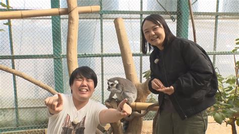 『サンドウィッチマンのどうぶつ園飼育員さんプレゼン合戦 Zoo－1グランプリ』 Tv Life Web