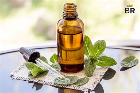 5 Best Peppermint Oils Nov 2022 Bestreviews