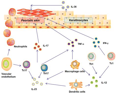 Frontiers Advances In Pathogenesis And Nanoparticles Nps Mediated Treatment Of Psoriasis