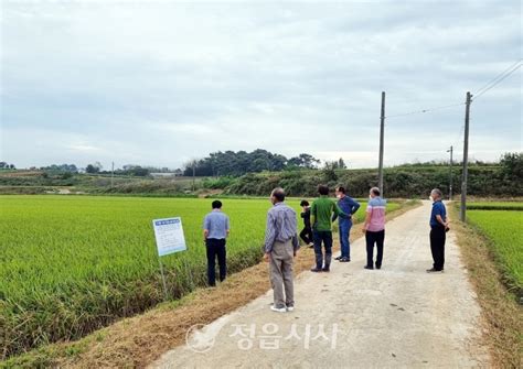 정읍시 식량작물 분야 시범사업 현장 평가회 성료 정읍시사