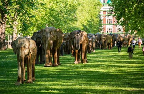 100 Life-Sized Elephants Are Traveling Across The U.S. To Miami