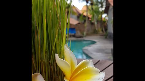 Review Villa Pengosekan Ubud YouTube