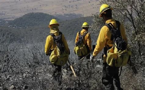 Incendio En Nuevo LeÓn Y Coahuila Devora Miles De HectÁreas Investigan