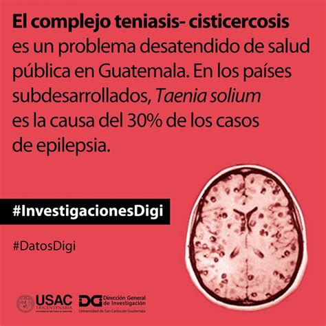 El complejo teniasis cisticercosis Investigación para todos