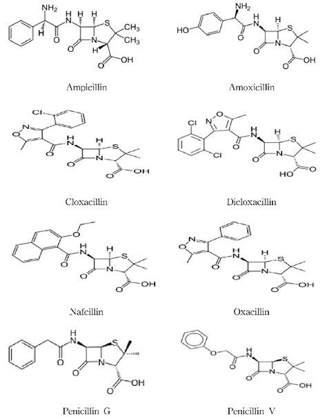 Penicillin Diagram