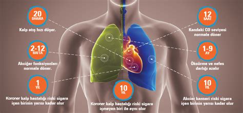 Sigarayı Neden Bırakmalısınız Sigara İçenlerin Akciğer Kanserine