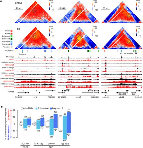 Widespread Activation Of Developmental Gene Expression Characterized By