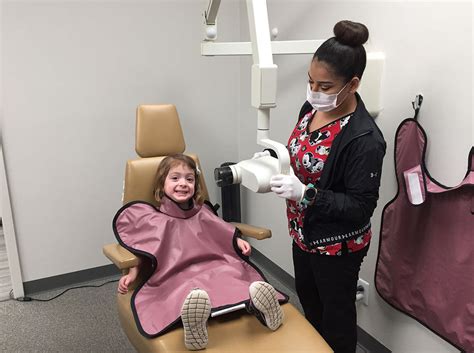 Gallery Molar Bear Pediatric Dentistry In Houston Tx