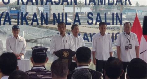 Presiden Jokowi Resmikan Kawasan Tambak Budidaya Ikan Nila Salin Di