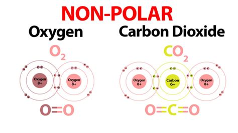 Polar Covalent Bonds Clearly Explained For Easy Learning