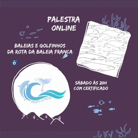 Palestra Online Baleias E Golfinhos Da Rota Da Baleia Franca Online