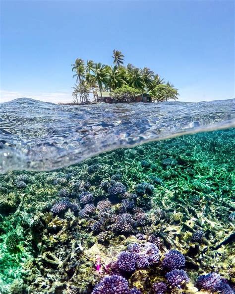 Marshall Islands And Chuuk Lagoon By Robert Michael Poole Острова