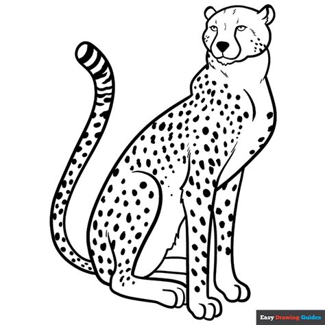 Cheetah Coloring Page Easy Drawing Guides