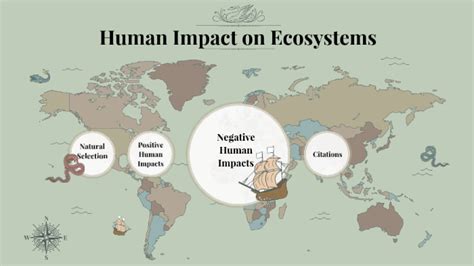 Human Impact On Ecosystems By Sabrina Gordon On Prezi