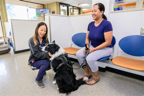 Ui Trustees Approve Oncology Addition For Veterinary Teaching Hospital