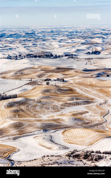 Snow Covered Farmland In The Rolling Hills Of The Palouse From Steptoe