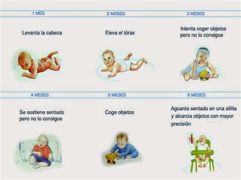 Maestros Del Siglo Xxi Etapas De Desarrollo Del Ni O