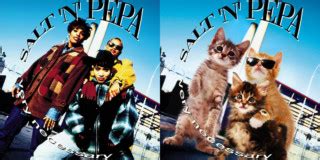 Famous Album Covers Recreated as Cat Photos | PetaPixel