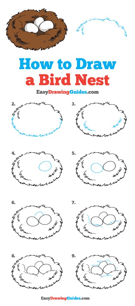 How To Draw A Bird Nest Really Easy Drawing Tutorial