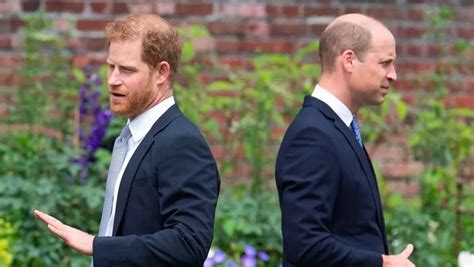 Prinz William Und Harry Haben Seit Zwei Jahren Funkstille BUNTE De