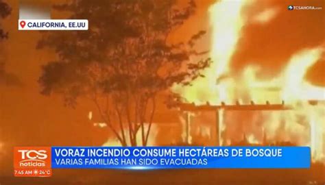 Incendio Forestal Consume Miles De Hect Reas De Bosque En California