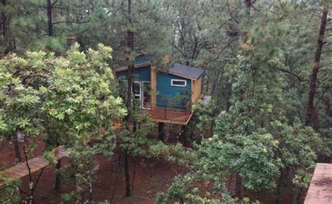 El Glamping De Hidalgo Con Casas Del Rbol En El Bosque