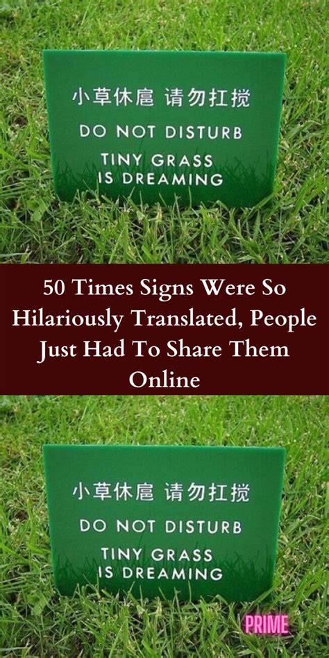 50 Times Signs Were So Hilariously Translated People Just Had To Share