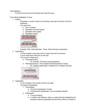 M Intro To Gen Path Merged Rd Yr Ppt Lec Gen Pathology M