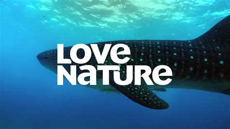 Love Nature 4k Promo June 2021 Youtube