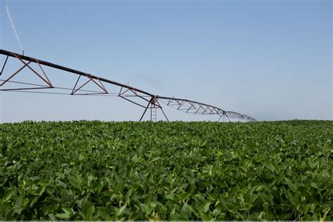 Understanding Soil Moisture Variability And Effects On Irrigation