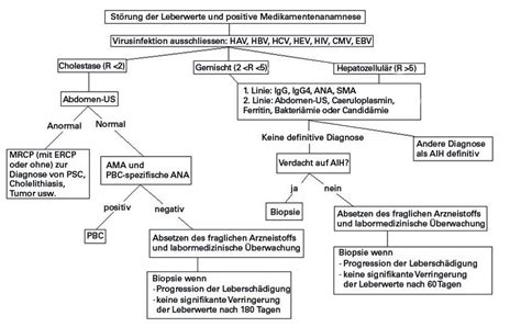 Abbildung Vorgehen Bei St Rung Der Leberwerte Und Verdacht Auf