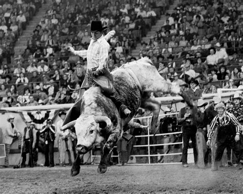 From Bucking Cows To Bulls To Producing The Pbr Grant Tribune