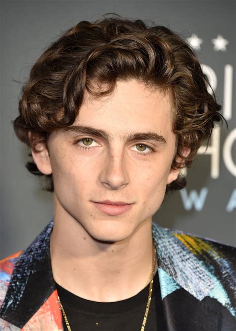 Hot Timothée Chalamet Pictures POPSUGAR Celebrity Photo
