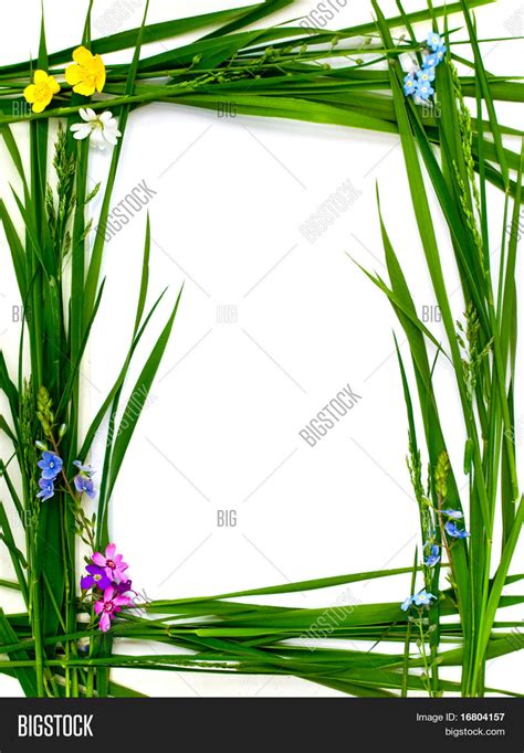 Original Grass Frame Image And Photo Free Trial Bigstock