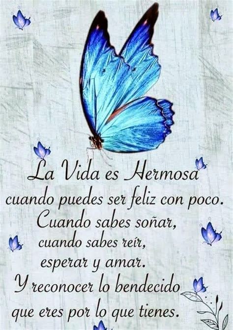 Pin by José A. on Día a Día | Good morning beautiful quotes, Butterfly ...