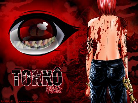 Download Anime Tokko Art