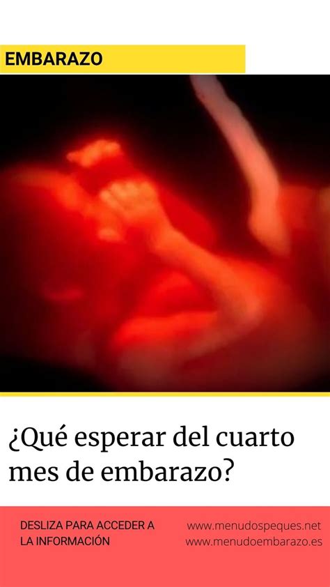 Cuarto Mes De Embarazo