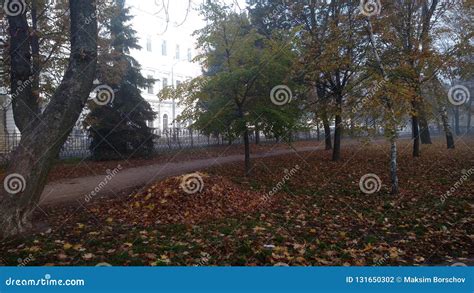 Cleaning in the park stock photo. Image of park, morning - 131650302