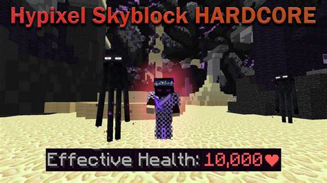 I Became A Tanky Boi In The End Hypixel Skyblock Hardcore Youtube