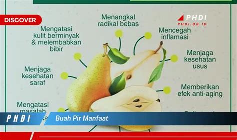 Temukan Manfaat Buah Pir Yang Wajib Kamu Intip