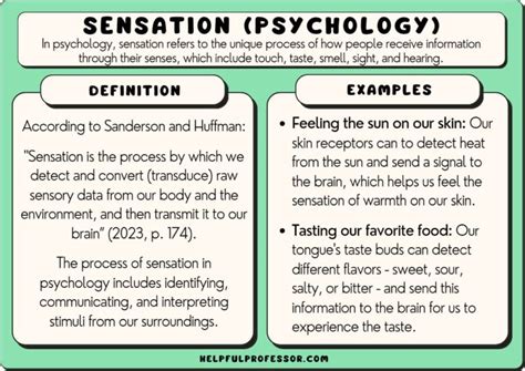 18 Sensation Examples (Psychology) (2025)