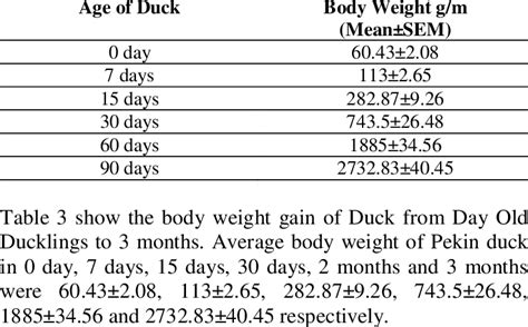 Body Weight Gain Of Pekin Duck Of The Pekin Duck Upto 90 Days Of Age