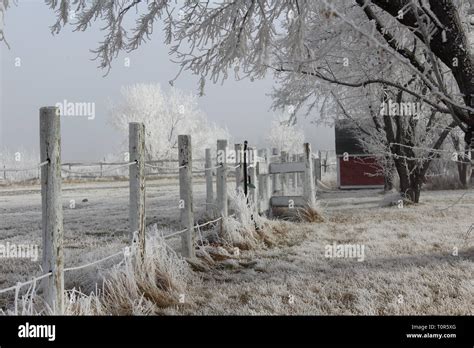 White Wood Fence Hi Res Stock Photography And Images Alamy