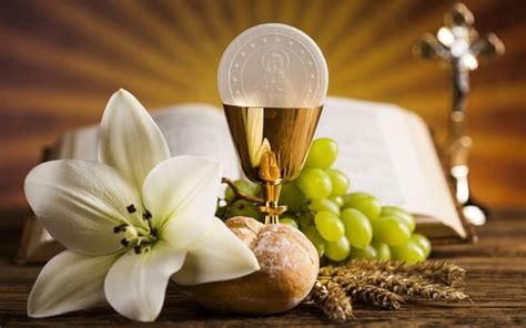 Eucaristía uvas lirio espigas pan Crucifijo Biblia Fondo de