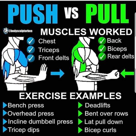 Powerful Muscle Building Gym Training Splits Gymguider Push