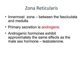 Adrenal hormones | PPT